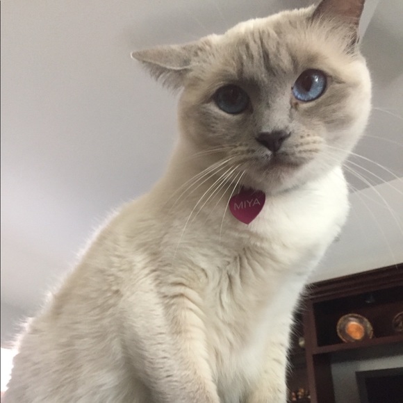 Meet your Posher, Gabby - Picture 2 of 3